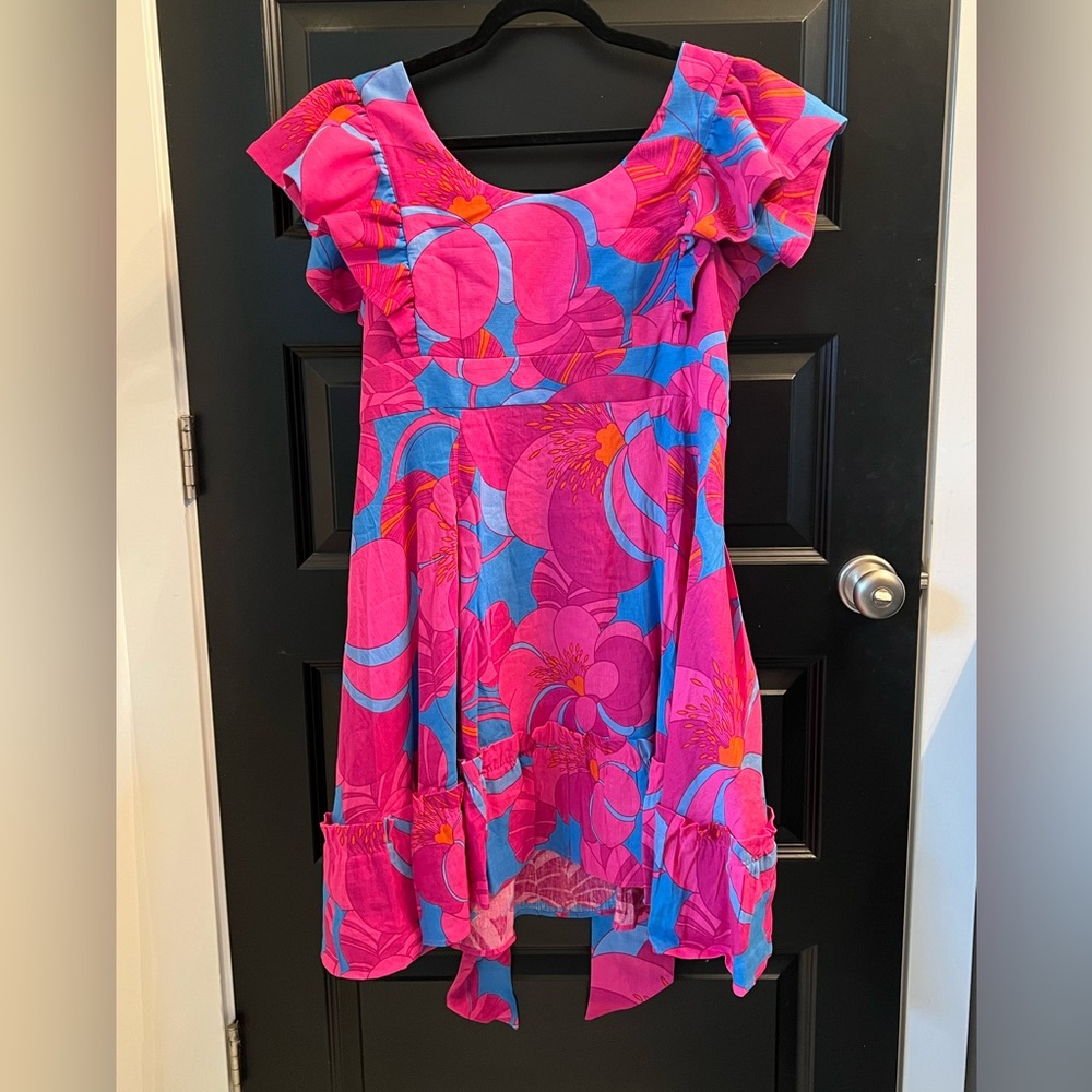 Brand new Tuckernuck x Cameran Eubanks dress